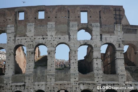 Postcard the colosseum