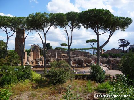 Postcard On Palatine hill