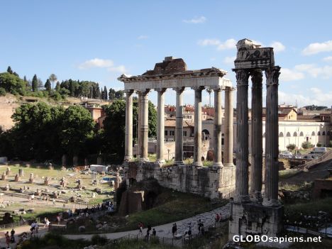 Postcard Foro Romano