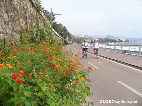 Postcard Cycle friendly