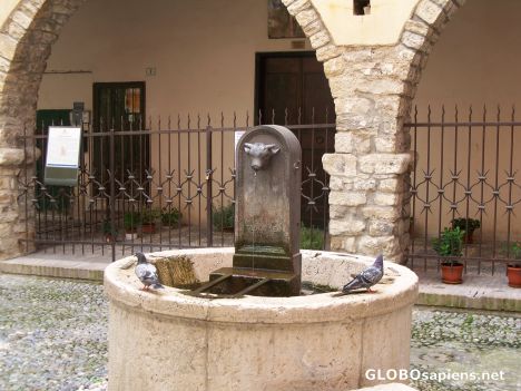 Postcard Fountain