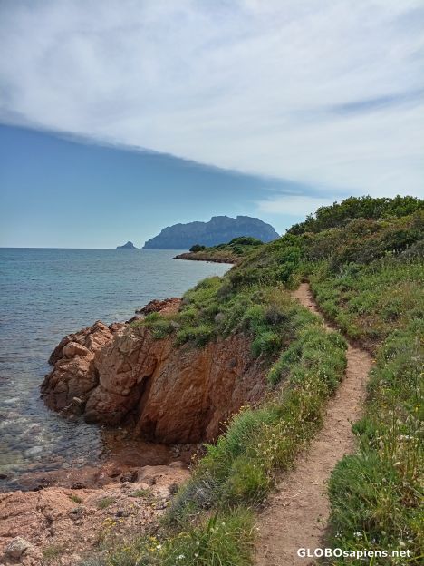 Postcard Porto Istana