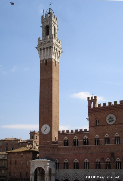 Postcard Torre del Mangia