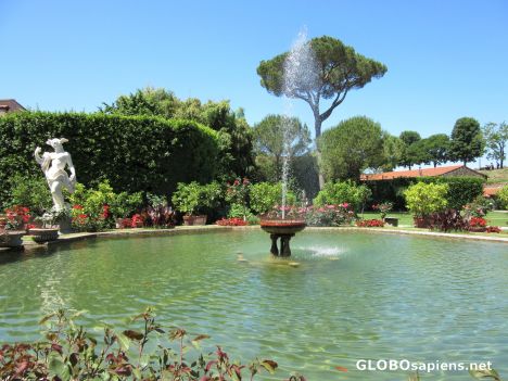 Postcard Garden 2