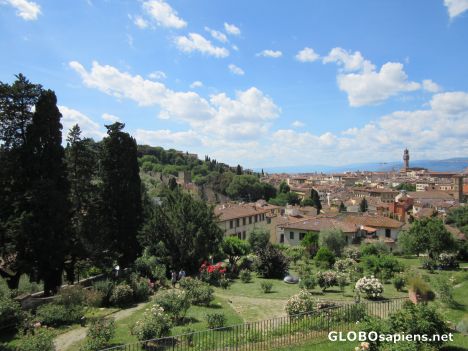 Postcard Giardino delle rose