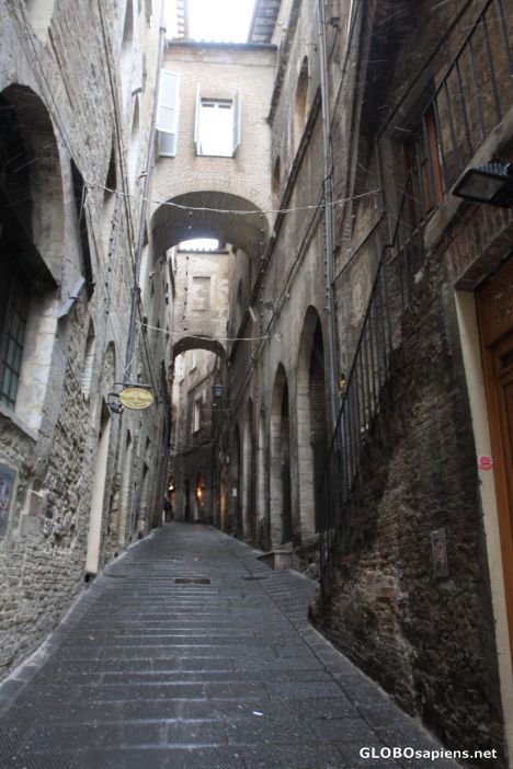 Postcard Via Ulisse Rocchi