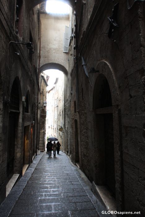 Postcard Via Ulisse Rocchi