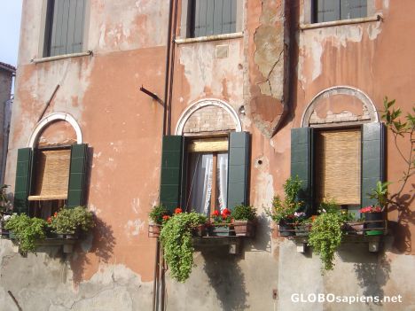 Postcard Venice Windows