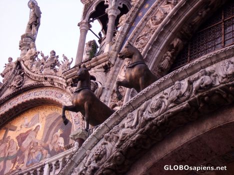 Postcard Horses of San Marco