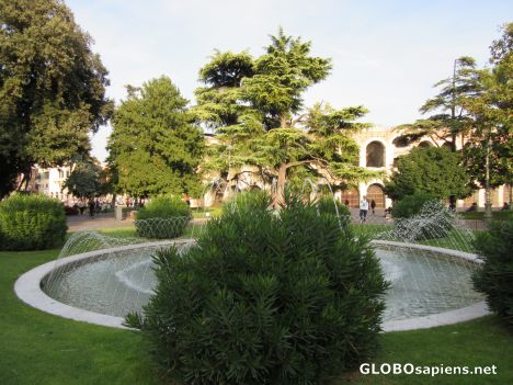 Postcard Piazza Bra fountain