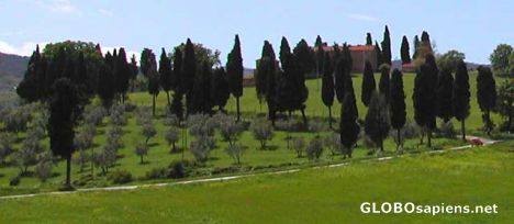 Postcard Italy. Tuscan countryside