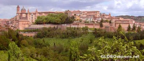 Postcard Italy. Urbino