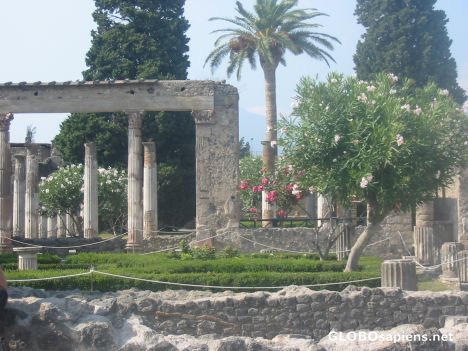 Postcard Garden