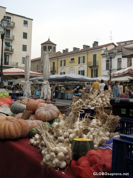 Postcard Mercato a Aqui