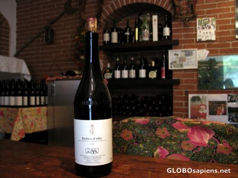 Postcard Wine tasting