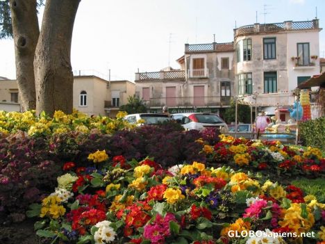 Postcard Sorrento Town