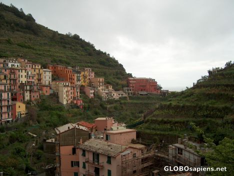 Postcard Manarola