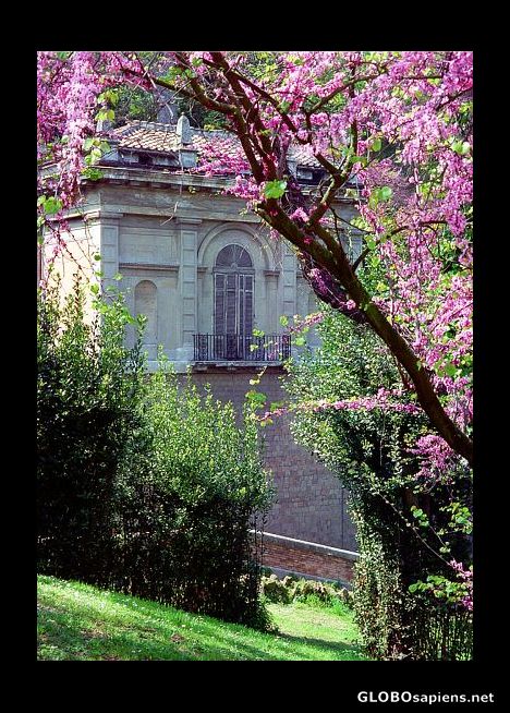 Postcard Old Roman Wall, Rome