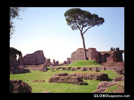 Postcard The Palatine, Rome