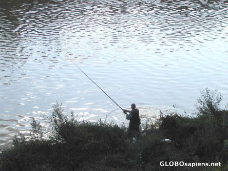Postcard Old man fishing downtown Florence