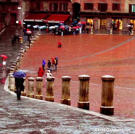 Postcard Siena. Piazza del Campo
