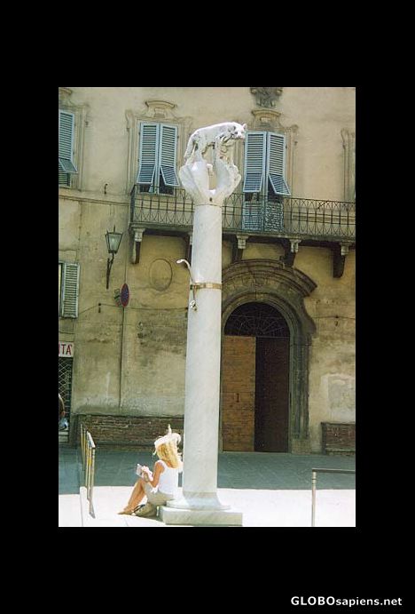 Postcard Siena's wolf