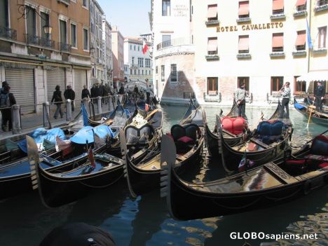Postcard Anyone for a ride on the Gondolas?