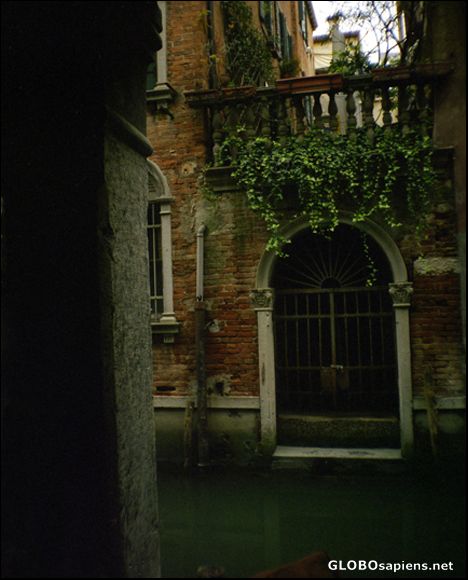 Postcard Canal and vines