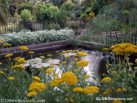 Postcard Botanical Beauty, Padova, Italy