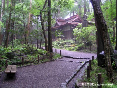 Postcard Misty walkway
