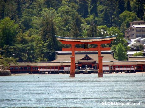 Postcard Torii gate