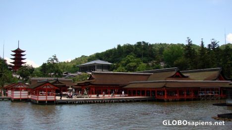 Postcard Itsukushima Shrine 