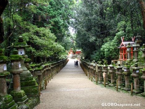 Nara Park