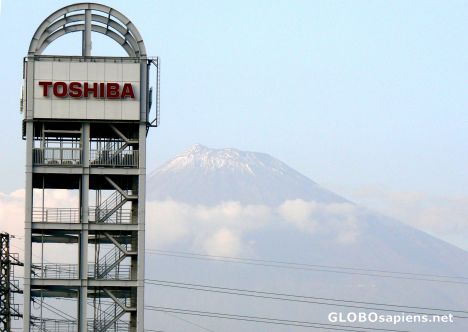 A symbol of Japan