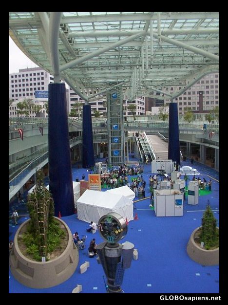 Postcard Underside of the oasis
