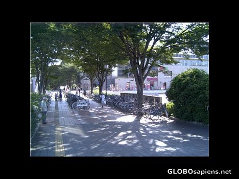 Postcard Tsukuba's Central Shopping District