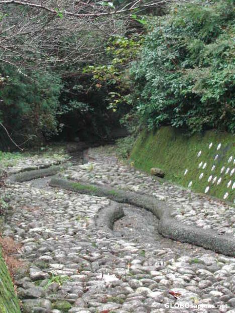 Postcard Zen-like creek