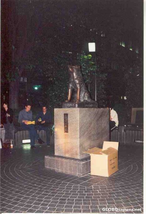 Postcard Hachiko at Shibuya - Tokyo
