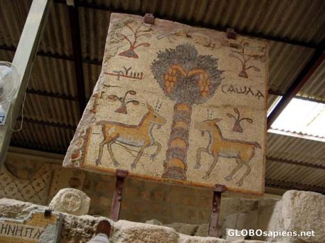 Postcard Mount Nebo