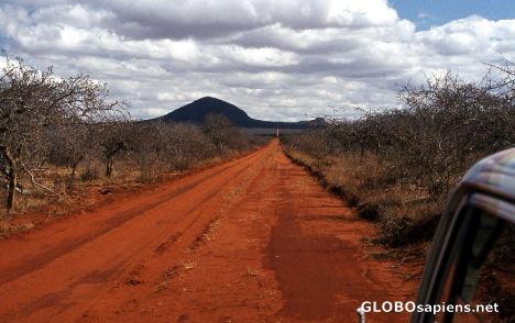 Postcard Taita Hills