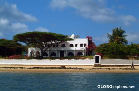 Postcard Lamu - can you see the tree?