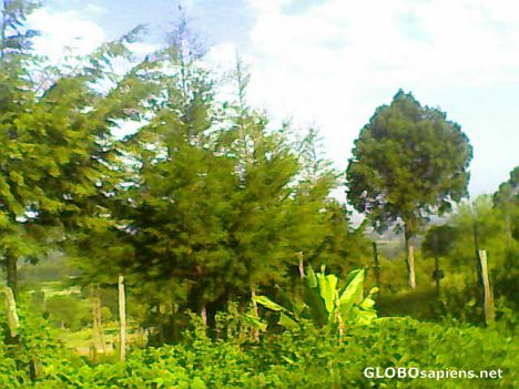 Postcard Green Region.