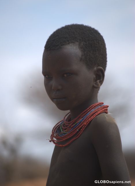 Postcard Samburu girl