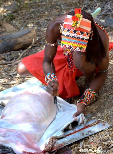 Postcard Skinning a goat