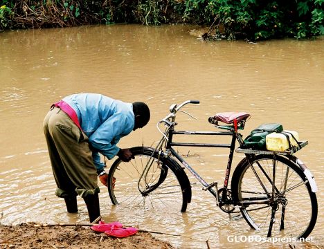 Postcard Bikewash