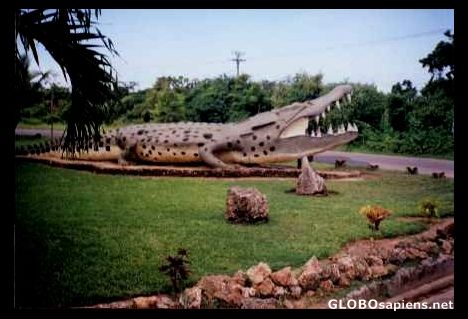 Postcard Mamba Village