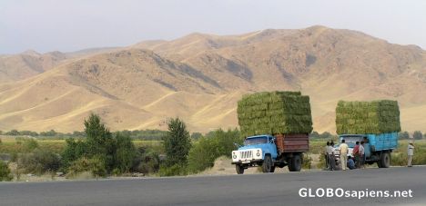 Postcard trucks on the road