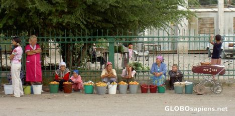 Postcard Selling fruits