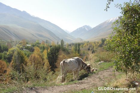 Postcard ala archa valley