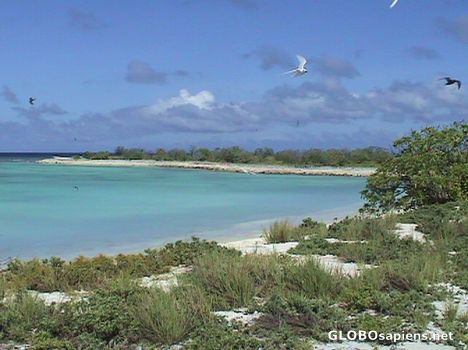 Cook Island landscape
